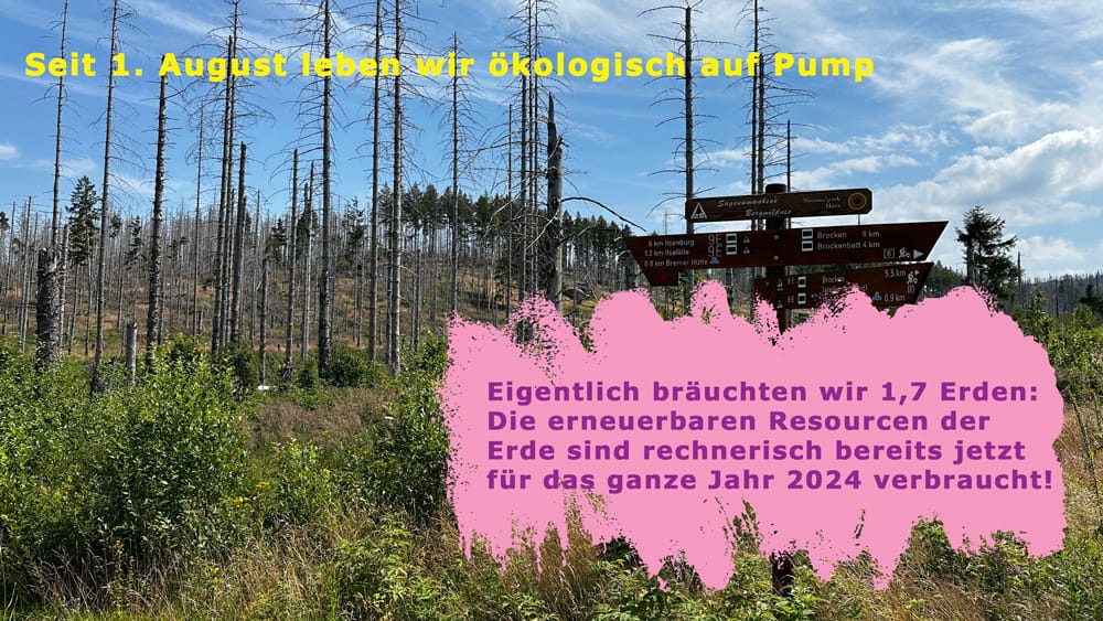 Bild-Erdüberlastungstag-1000