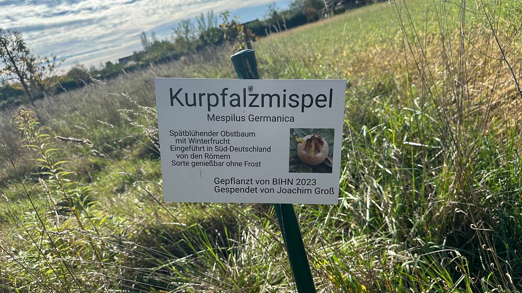a sign in a field