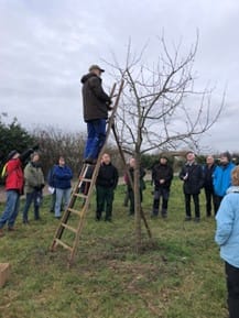 a man standing on a ladder in a field