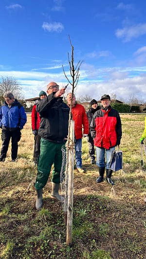 a man pointing to a tree